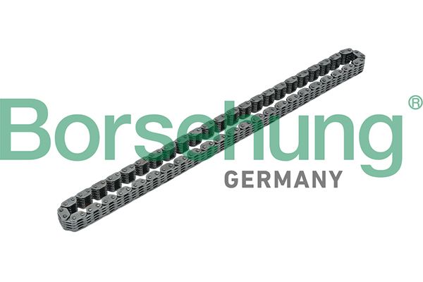 Borsehung Steuerkette (B17885) Thumbnail