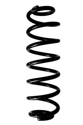 SPIDAN Fahrwerksfeder (87924)