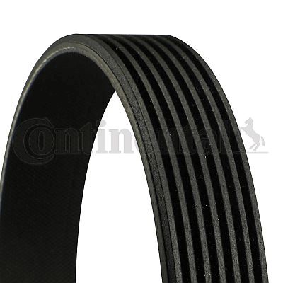 CONTINENTAL CTAM Keilrippenriemen (7PK1538)