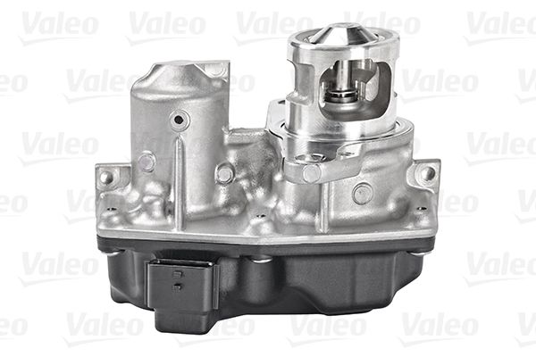 VALEO AGR-Ventil (700449)
