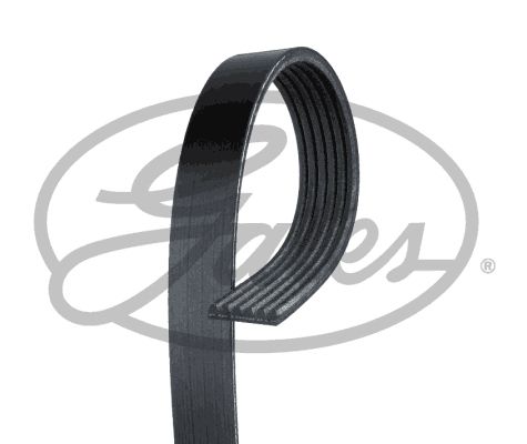 GATES Keilrippenriemen (6PK1503)