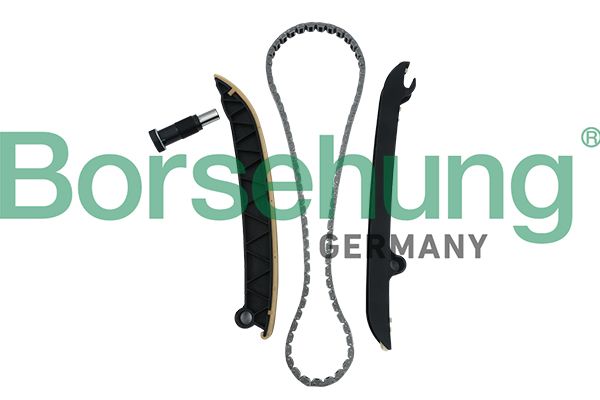 Borsehung Steuerkettensatz (B18296)