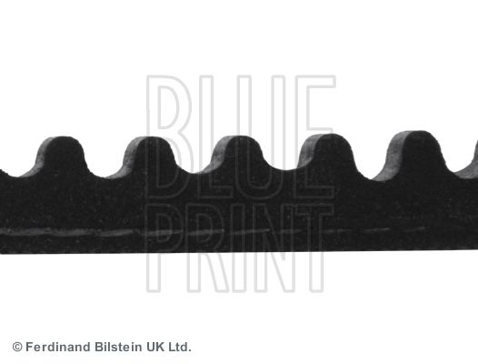 BLUE PRINT Keilriemen (AD10V835)