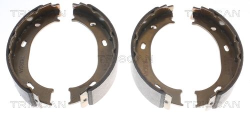 TRISCAN Bremsbackensatz, Feststellbremse (8100 23024)