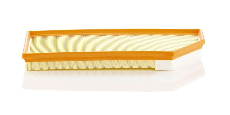 MANN-FILTER Luftfilter (C 45 004)