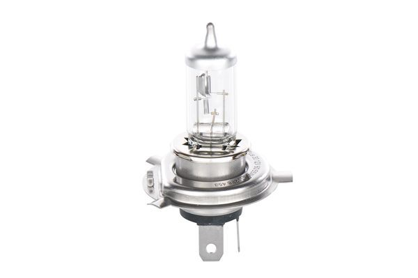 BOSCH Glühlampe (1 987 302 042)