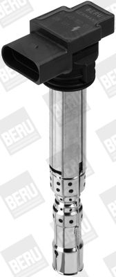 BorgWarner (BERU) Zündspule (ZSE031)