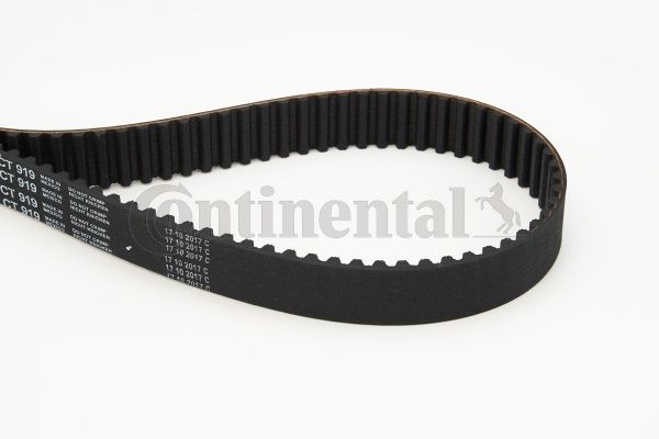 CONTINENTAL CTAM Zahnriemen (CT919)