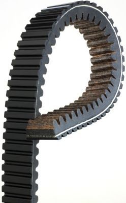GATES Keilrippenriemen (4PK773)