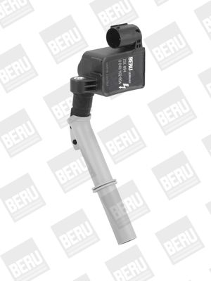 BorgWarner (BERU) Zündspule (ZSE094)
