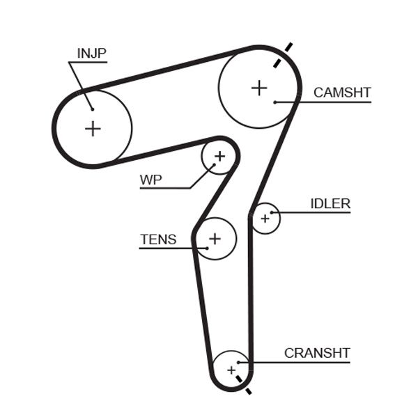 GATES Zahnriemen (5650XS)