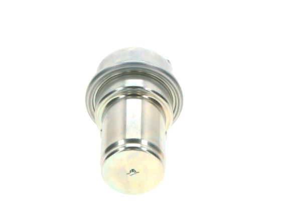 BOSCH Druckspeicher, Kraftstoffdruck (0 438 170 040)
