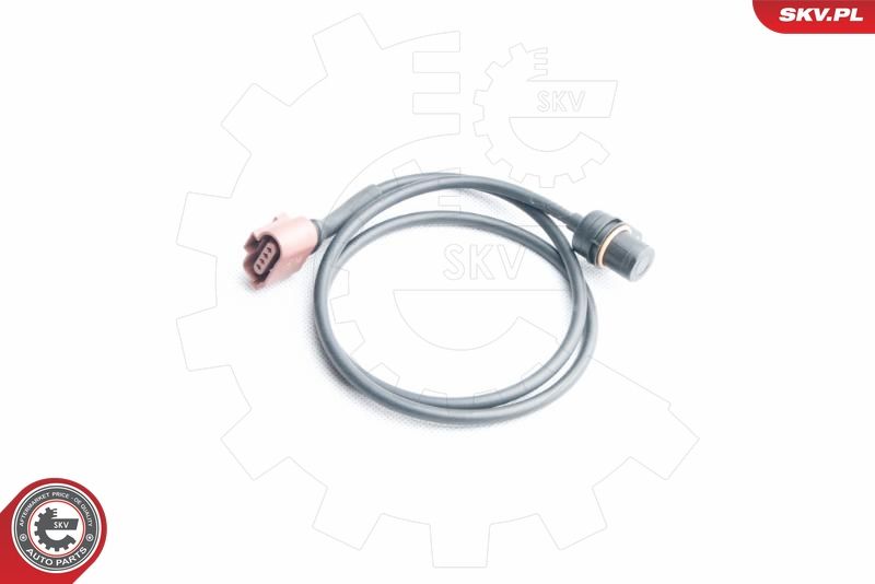 ESEN SKV Lenkwinkelsensor (17SKV305)