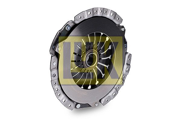 LuK Kupplungsdruckplatte (122 0176 20) LuK Kupplungsdruckplatte (122 0176 20)