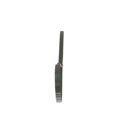 BOSCH Keilrippenriemen (1 987 948 411)