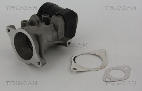 TRISCAN AGR-Ventil (8813 10001) TRISCAN AGR-Ventil (8813 10001)