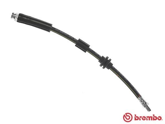 BREMBO Bremsschlauch (T 23 181)