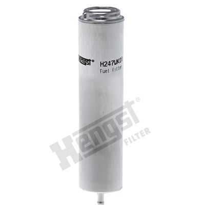HENGST FILTER Kraftstofffilter (H247WK01)