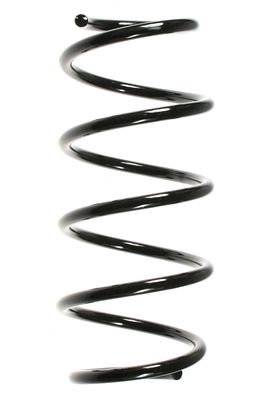 SPIDAN Fahrwerksfeder (55962)