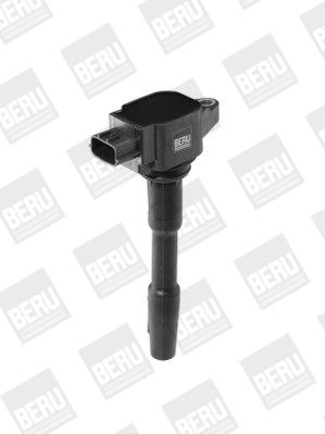 BorgWarner (BERU) Zündspule (ZSE131)