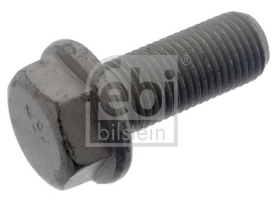 FEBI BILSTEIN Schraube, Bremssattel (48810)