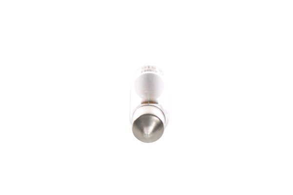 BOSCH Glühlampe (1 987 302 507)