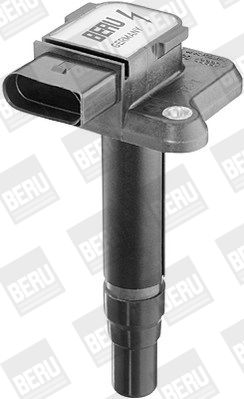 BorgWarner (BERU) Zündspule (ZSE009) Thumbnail