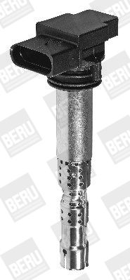 BorgWarner (BERU) Zündspule (ZSE031)