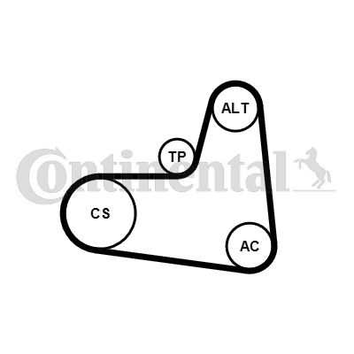 CONTINENTAL CTAM Keilrippenriemensatz (6PK1005K1) Thumbnail