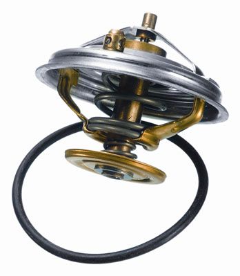 BorgWarner (Wahler) Thermostat, Kühlmittel (4237.80D)