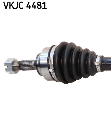 SKF Antriebswelle (VKJC 4481)