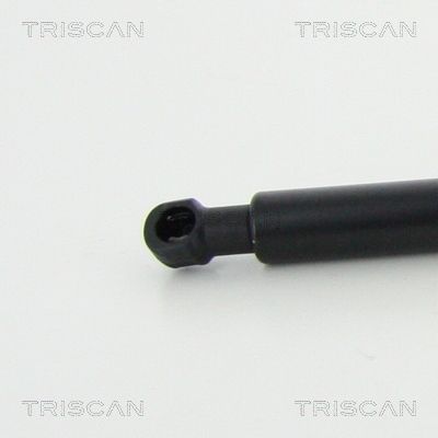 TRISCAN Gasfeder, Koffer-/Laderaum (8710 28250)