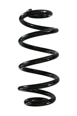 SPIDAN Fahrwerksfeder (88351)