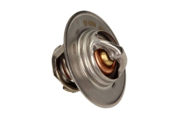 MAXGEAR Thermostat, Kühlmittel (67-0064)