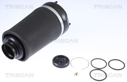 TRISCAN Luftfeder, Fahrwerk (8720 23101)