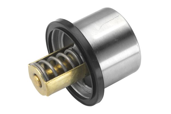 BorgWarner (Wahler) Thermostat, Kühlmittel (4619.82)