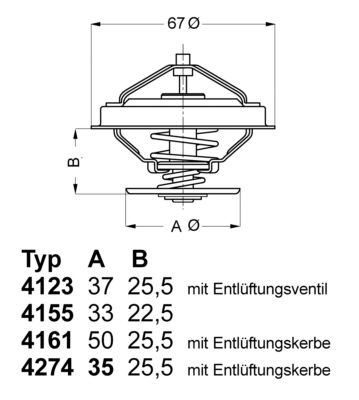 BorgWarner (Wahler) Thermostat, Kühlmittel (4123.80D)