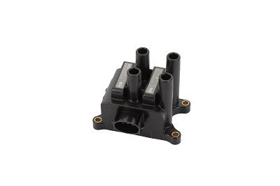 BorgWarner (BERU) Zündspule (ZS422)