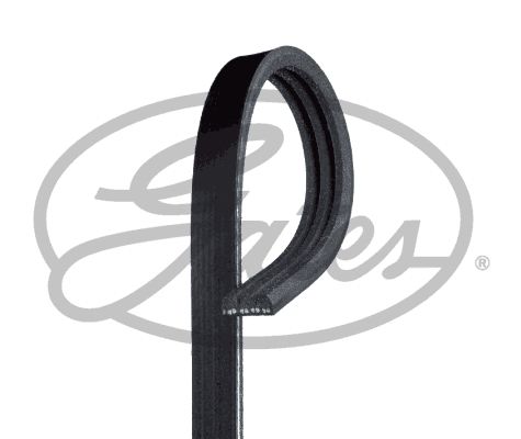 GATES Keilrippenriemen (3PK905)