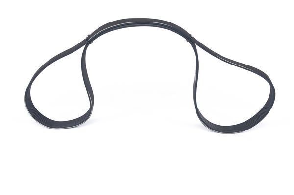 BOSCH Keilrippenriemen (1 987 946 256)
