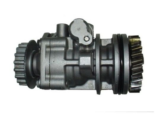 SPIDAN Hydraulikpumpe, Lenkung (54273)