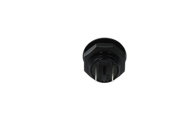 BOSCH Schalter (0 343 003 004)