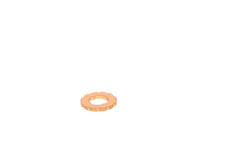 BOSCH Dichtring, Düsenhalter (F 00R J02 175)